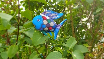 Der Regenbogenfisch kann sich überall verstecken!