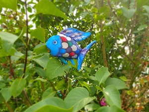 Der Regenbogenfisch kann sich überall verstecken!